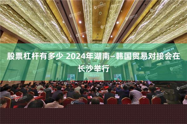 股票杠杆有多少 2024年湖南—韩国贸易对接会在长沙举行