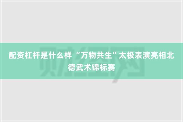 配资杠杆是什么样 “万物共生”太极表演亮相北德武术锦标赛