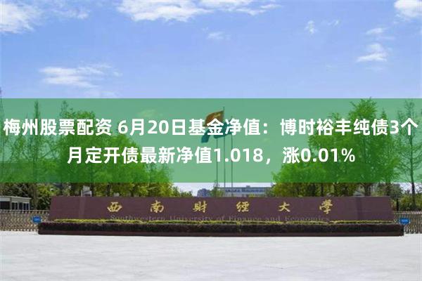 梅州股票配资 6月20日基金净值：博时裕丰纯债3个月定开债最新净值1.018，涨0.01%