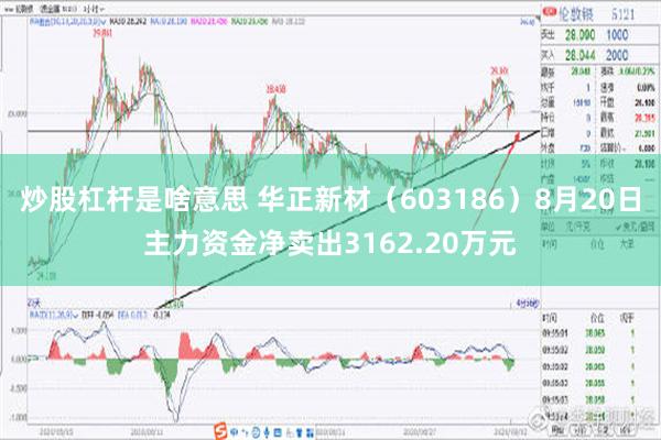 炒股杠杆是啥意思 华正新材（603186）8月20日主力资金净卖出3162.20万元