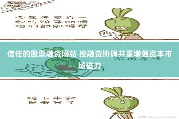 信任的股票融资网站 投融资协调并重增强资本市场磁力