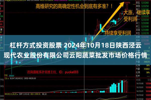 杠杆方式投资股票 2024年10月18日陕西泾云现代农业股份有限公司云阳蔬菜批发市场价格行情