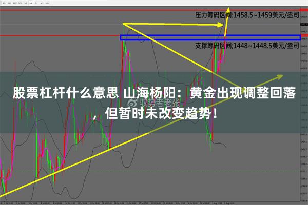 股票杠杆什么意思 山海杨阳：黄金出现调整回落，但暂时未改变趋势！