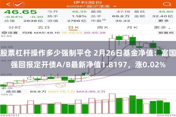 股票杠杆操作多少强制平仓 2月26日基金净值：富国强回报定开债A/B最新净值1.8197，涨0.02%